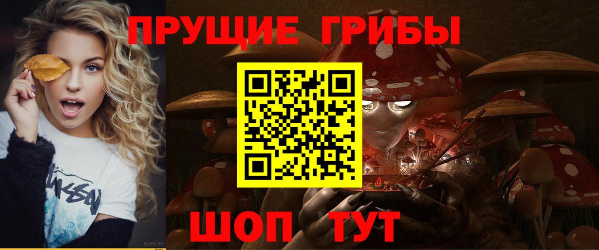 Псилоцибиновые грибы Cubensis Чебаркуль