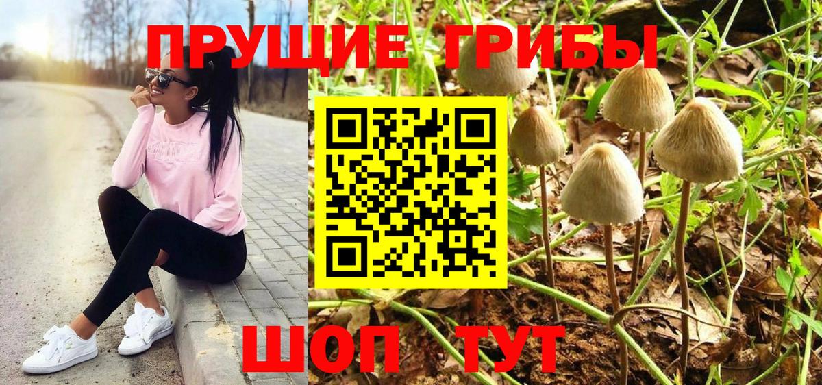 Чебаркуль  Галлюциногенные грибы GOLDEN TEACHER  Вход с VPN 